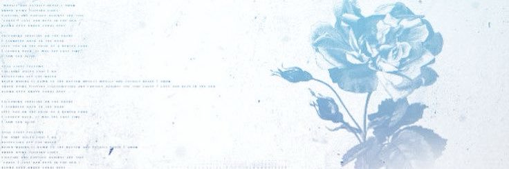 solei ໒꒱ ‧₊˚ banner