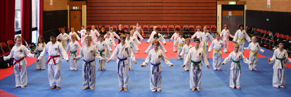 SynergyTKD's profile banner image