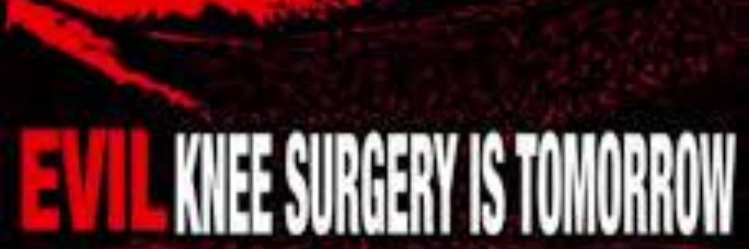 Intrepid banner
