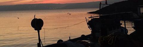nimetgonca's profile banner image