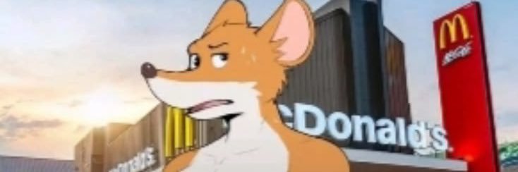 gin_bengal's profile banner image