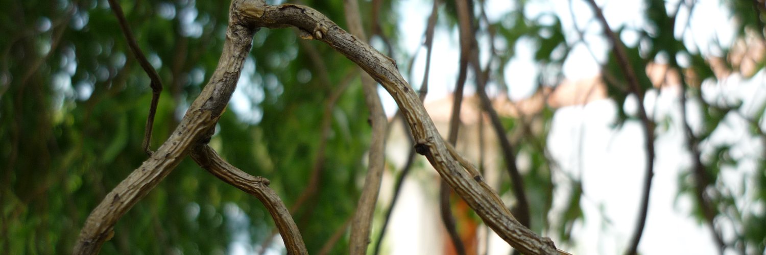 granierandres's profile banner image