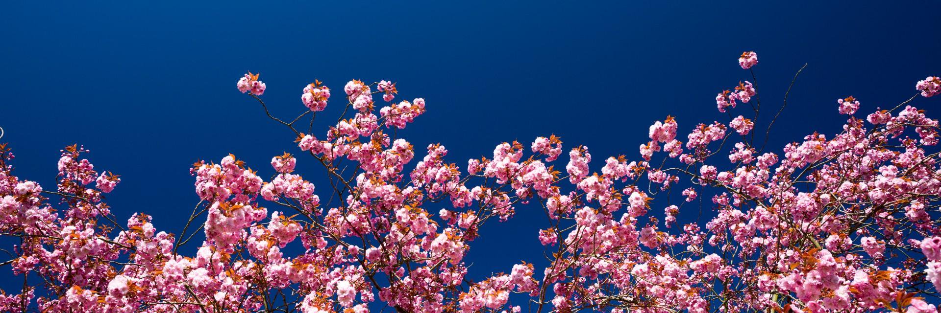 awayfromthebase's profile banner image