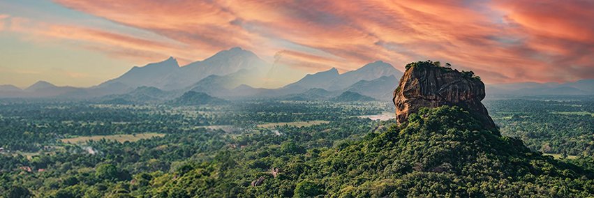 rangasujeewa's profile banner image