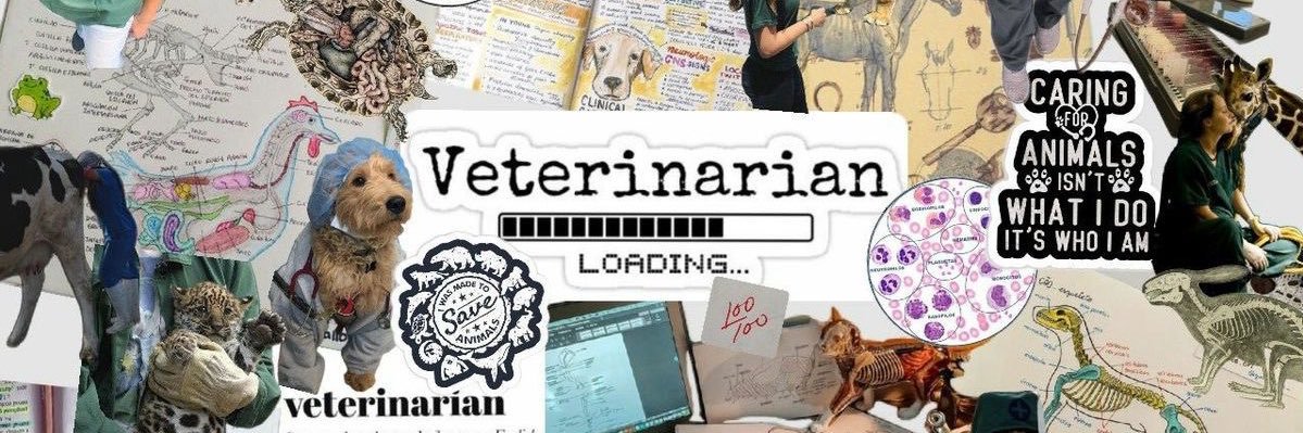 ᴍɪᴄᴀ ⋆｡°✩ banner