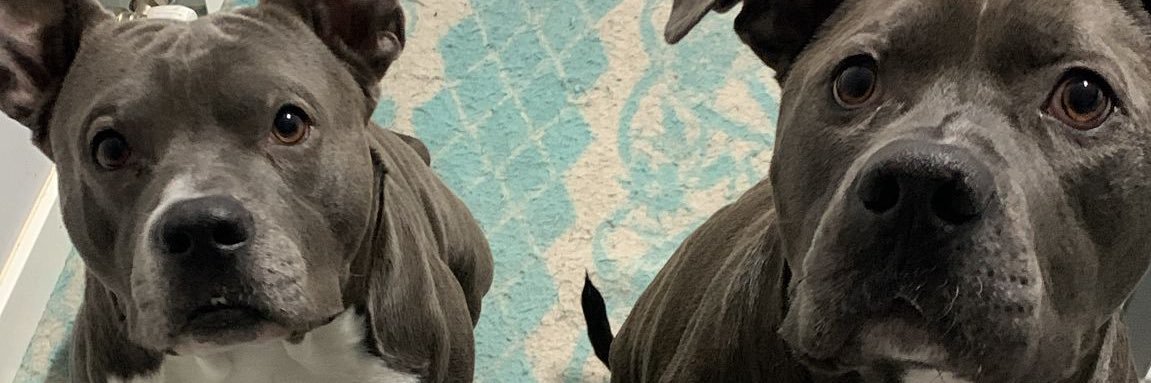 _vxnee10's profile banner image