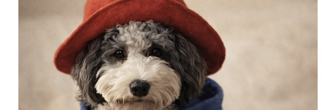 Robert Barnsley banner