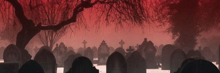 ˖⁺‧₊˚🩸 ᴛʜᴇ ᴅᴏᴄᴛᴏʀ ✚ banner