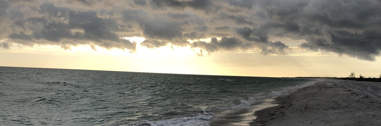 davisbryant's profile banner image