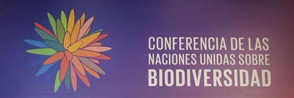IIFB_indigenous Profile Banner