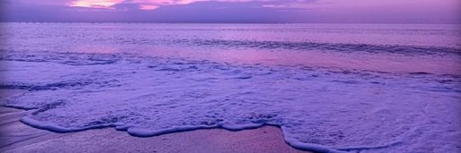 HollyworldXo's profile banner image