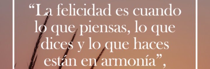 Mercy Fernandez banner