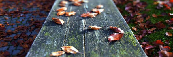 JiLiZART Profile Banner