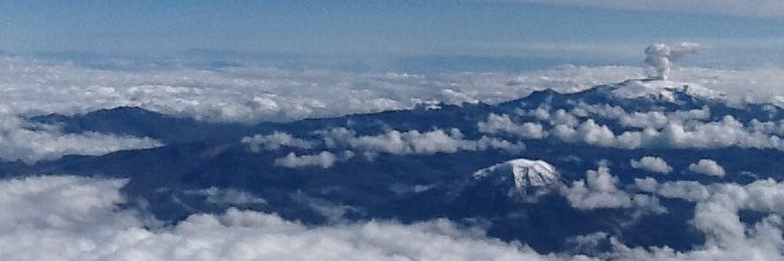 Limosca's profile banner image