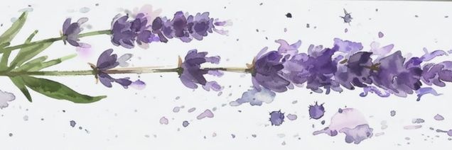 Lexi-licous ♡ shedtwt banner