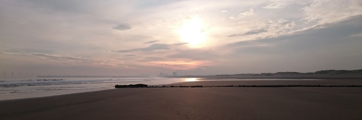stelfc's profile banner image