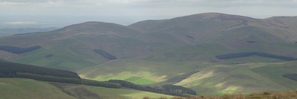 DSisterson Profile Banner