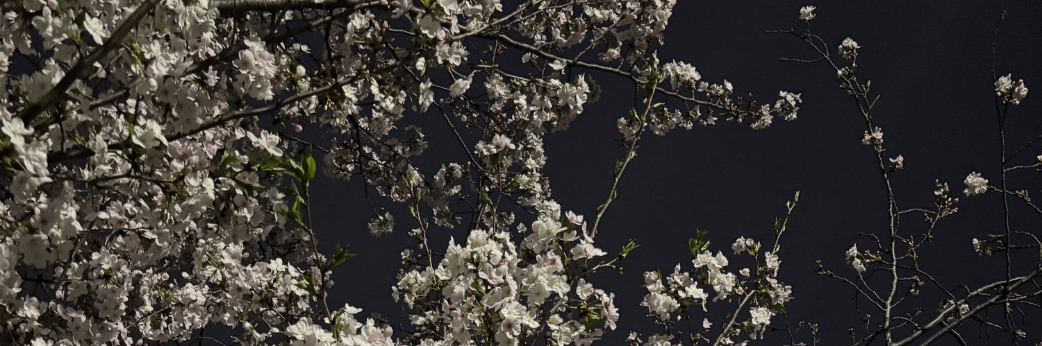 𝑚𝑜𝑛 banner