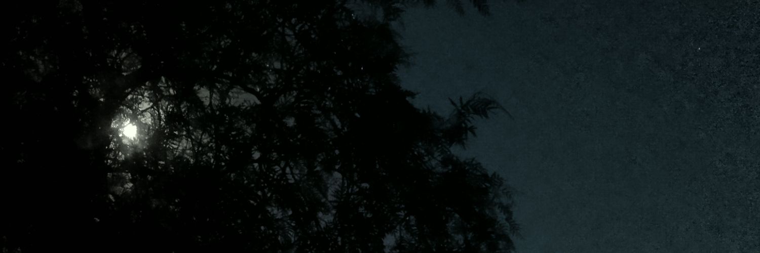 aurora4310's profile banner image