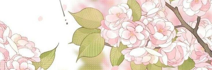 hana banner