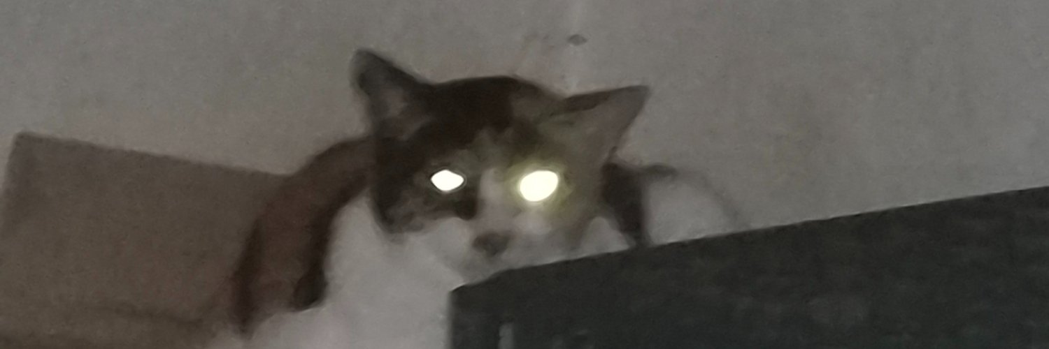 luceluce_ro's profile banner image