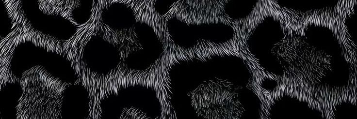 llzn banner