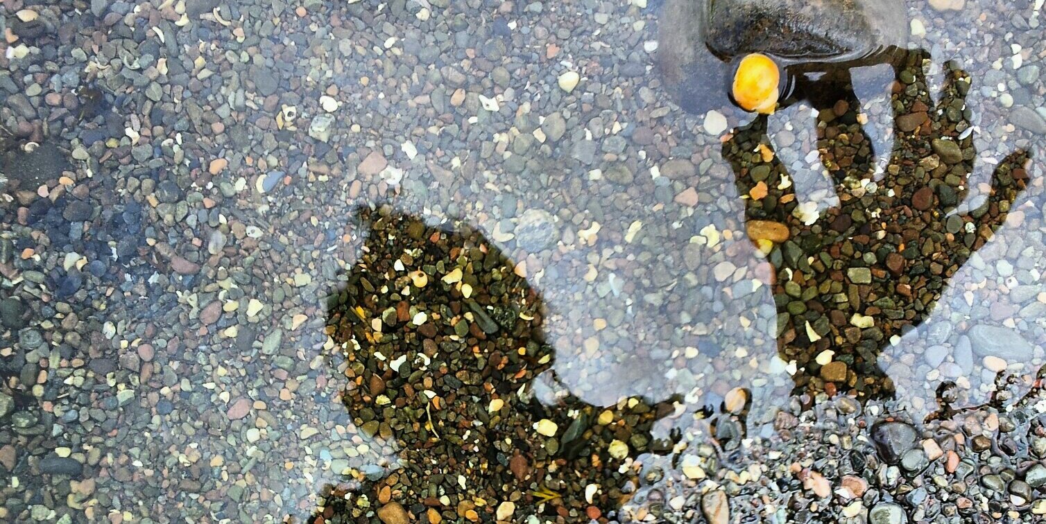 Angus Macleod banner