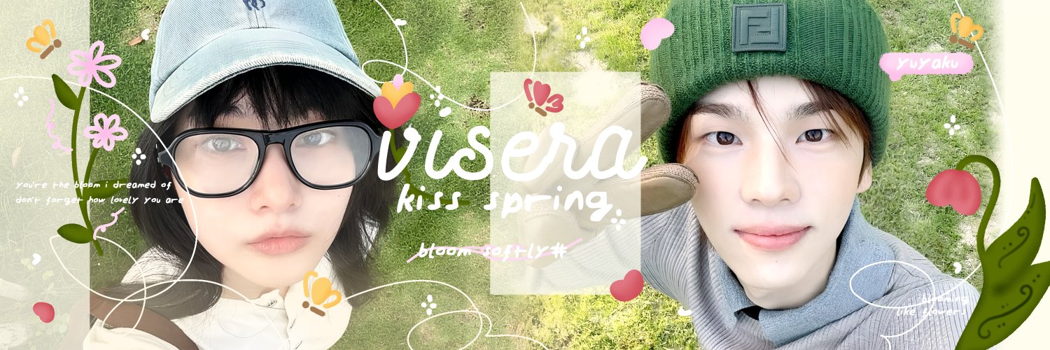 visera banner