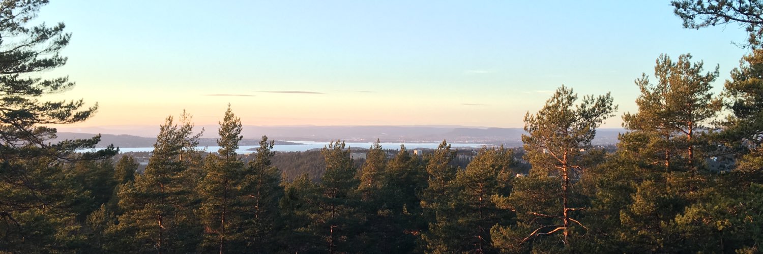 hefler's profile banner image