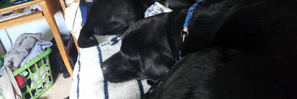 Justin O'Reilly banner