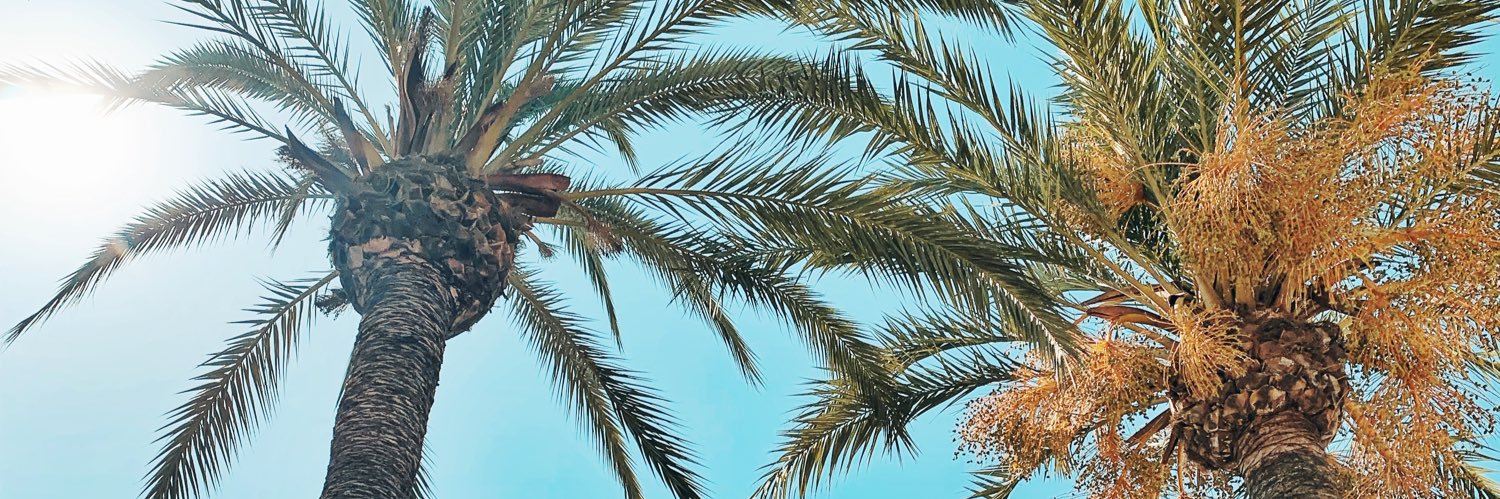 Wardje99's profile banner image