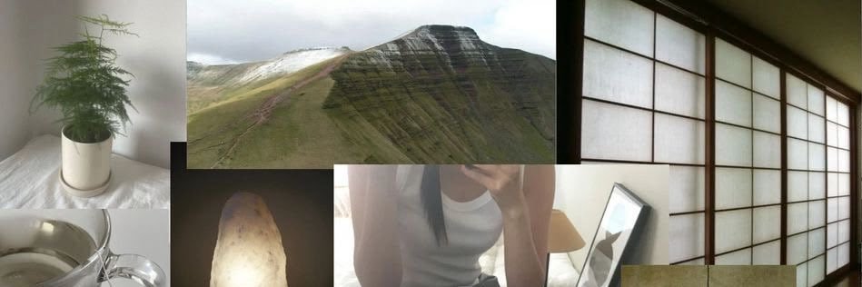 𝑛𝑖𝑙𝑙𝑦𝑏𝑖𝑒🎐🍃 banner