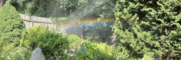 stephijo Profile Banner