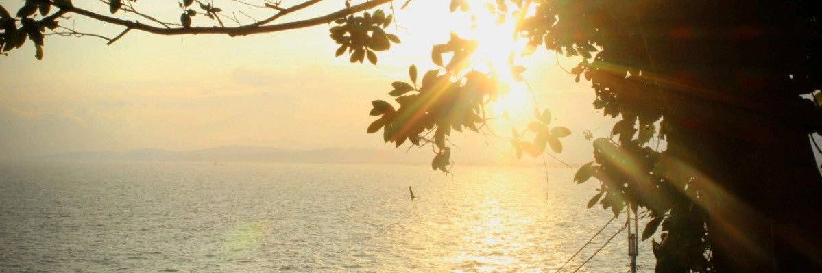 gracespecs's profile banner image