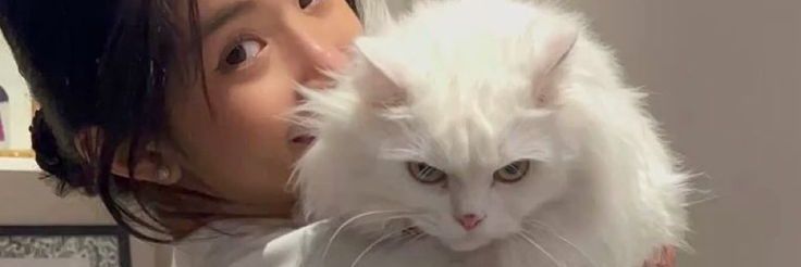 maia - misses manon banner