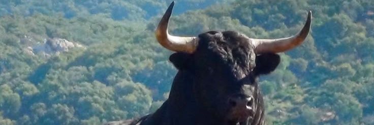 Ernestaz🔞 banner
