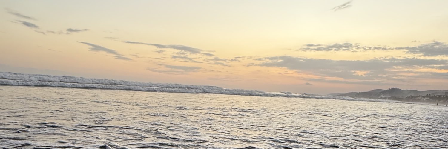 Melisa banner
