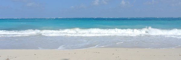 sallymoss Profile Banner