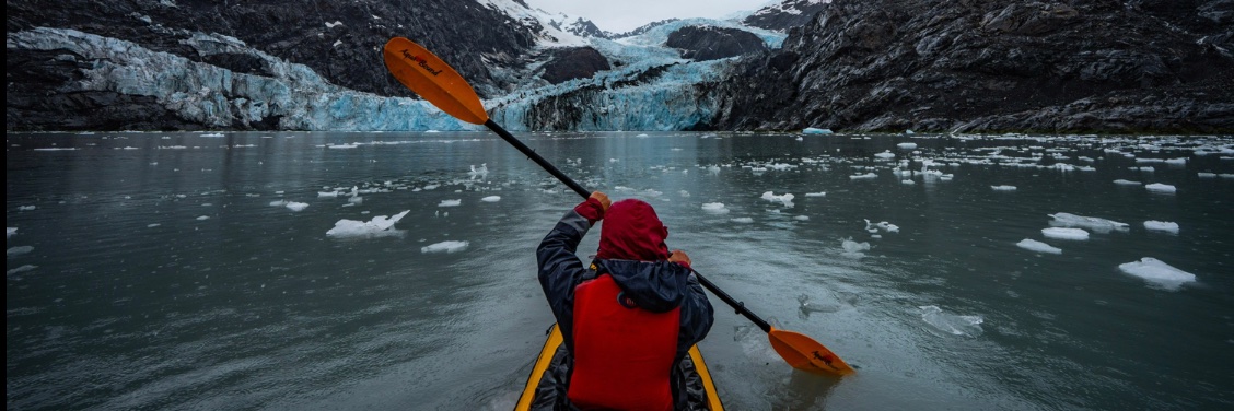 Nicole Nguyen banner