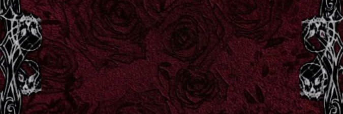 vmpirecentipede's profile banner image