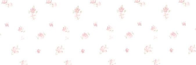 希彩 banner