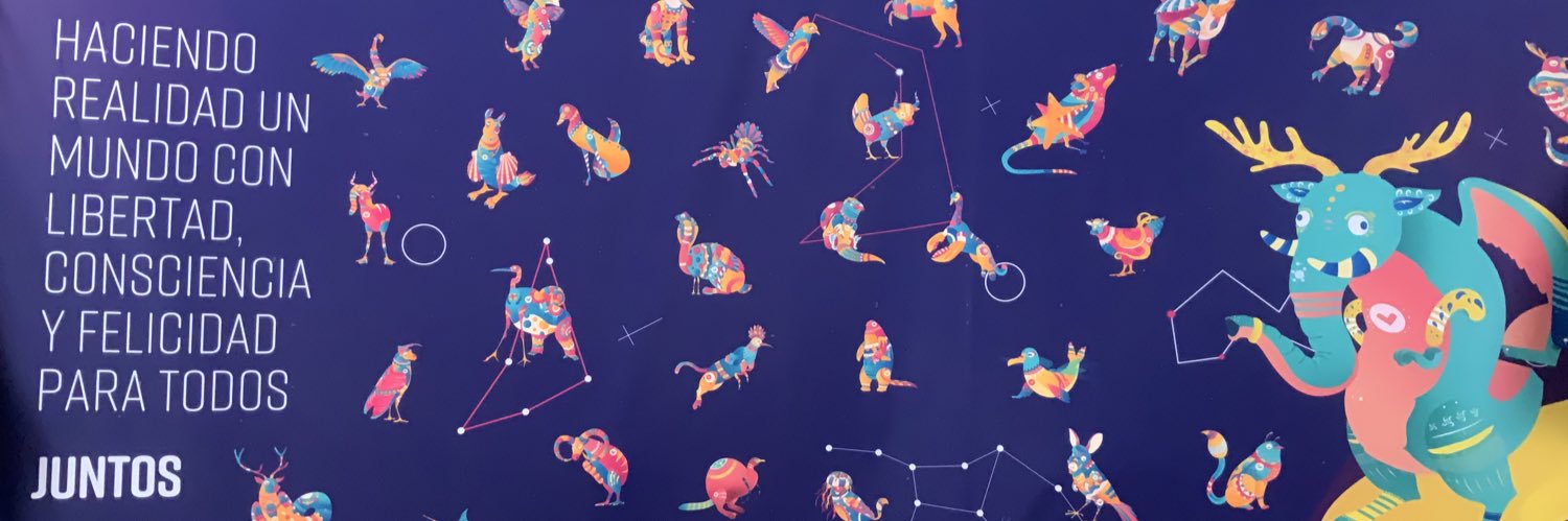 Luis Gallardo banner