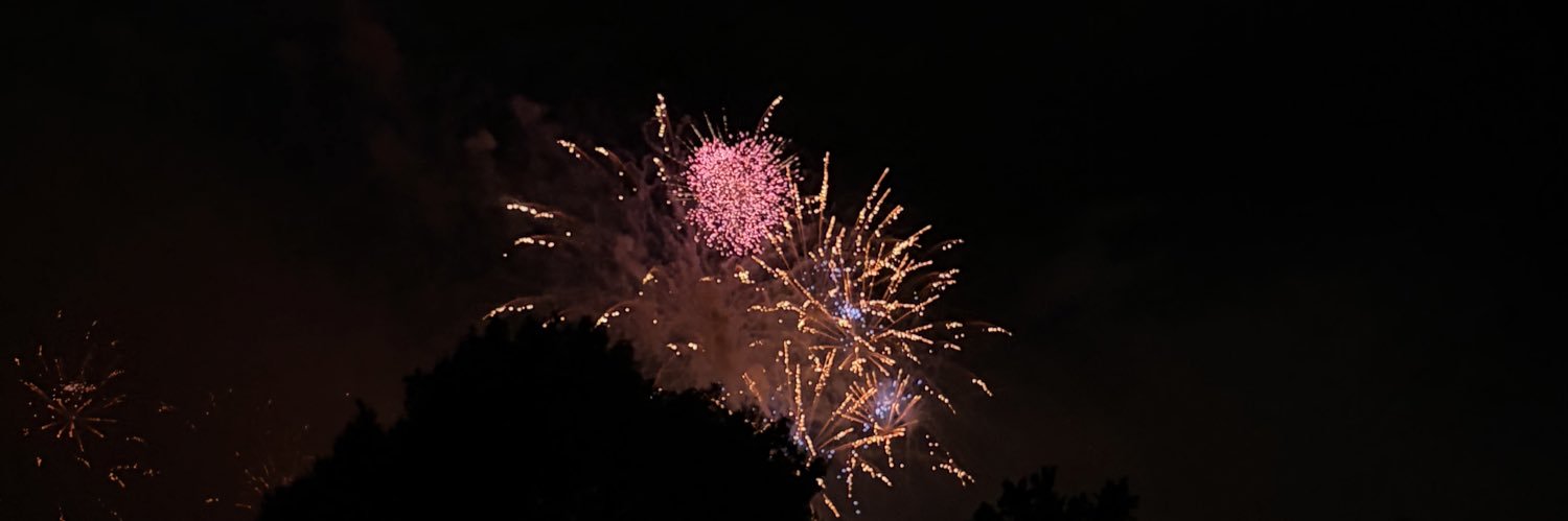 heidistej's profile banner image