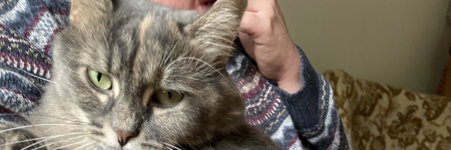 thatfunnyguyk's profile banner image