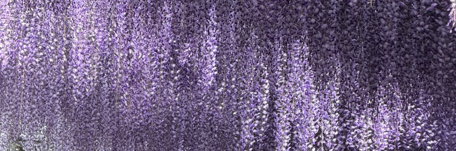 kanrojtip's profile banner image