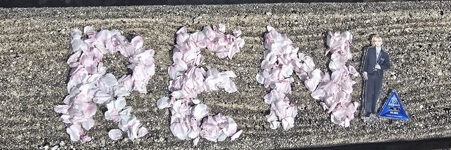 小清水蓮くんデビュー‼️ banner