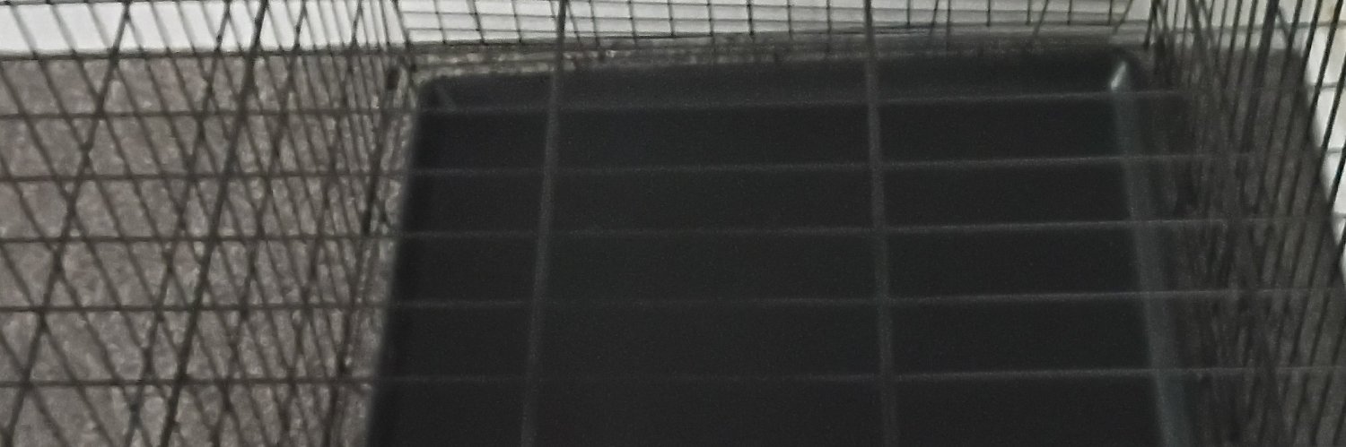 SupremeI33115's profile banner image