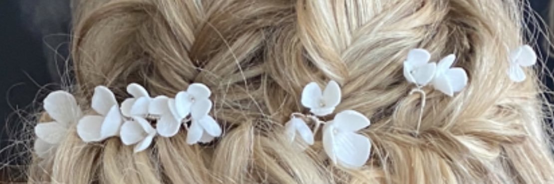 lisacameron_'s profile banner image