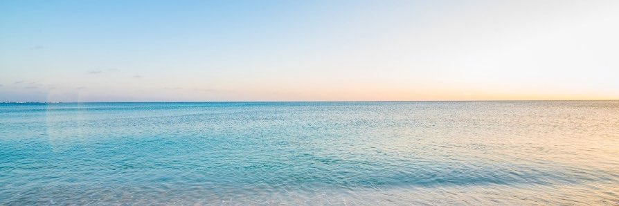 daisy_stories's profile banner image