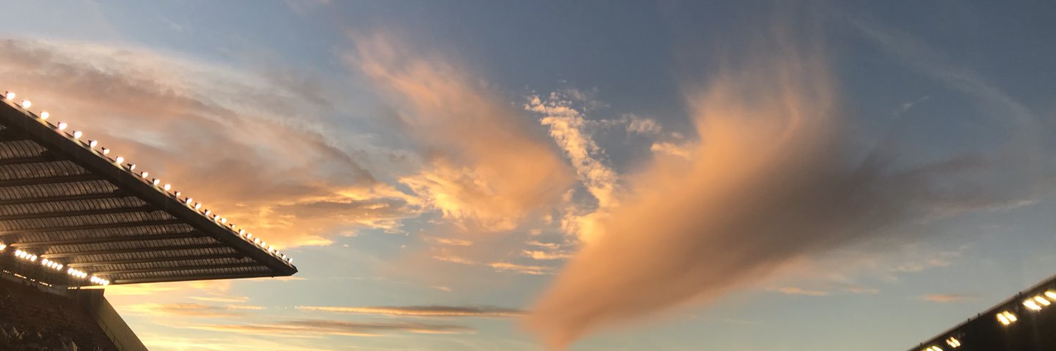 Sagrario Zabaleta banner